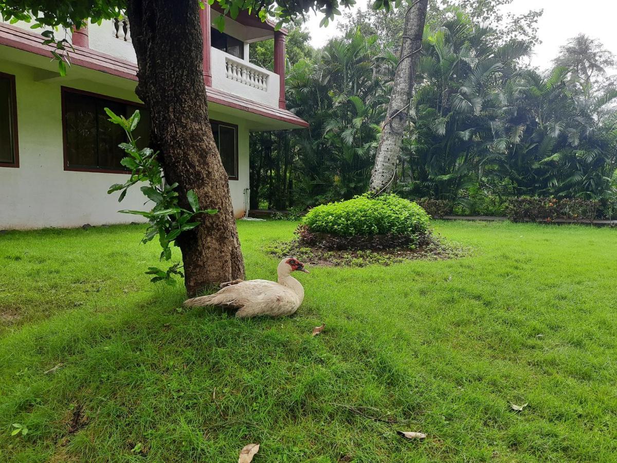 Seawoods Beach Hotel Dahanu Exterior photo